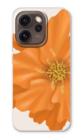 Orange Ellila flower