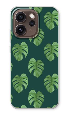 Monstera leaves
