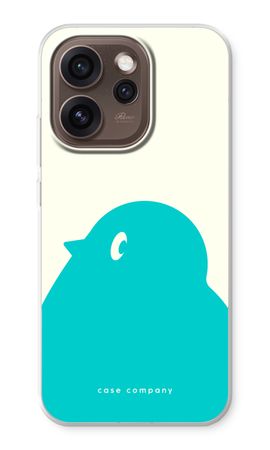 BIG Robin 1