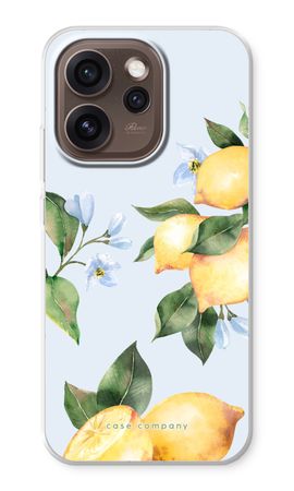 Orchard Sun