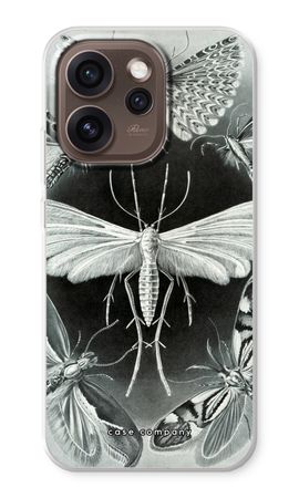 Haeckel Tineida