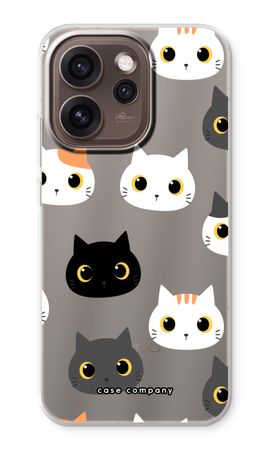 Cats