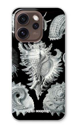 Haeckel Prosobranchia