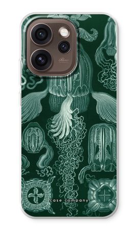 Haeckel Cubomedusae