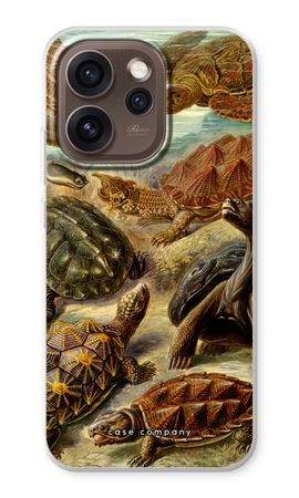 Haeckel Chelonia