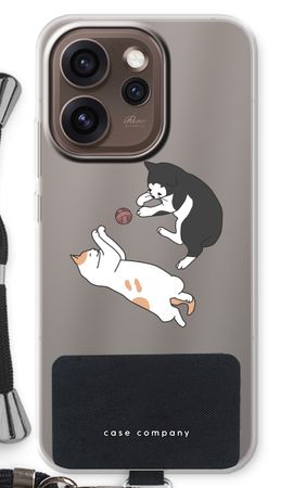 Spelende katten