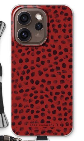 Ladybird Paint