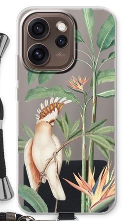 Tropical Parrot