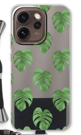 Monstera leaves