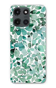 Eucalyptus à feuilles