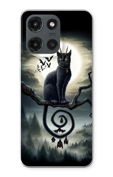 Moonlight Companions