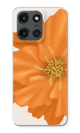 Orange Ellila flower