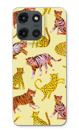 Cute Tigers and Leopards