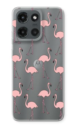 Anything Flamingoes