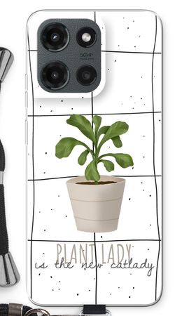 Houseplant on windowpane