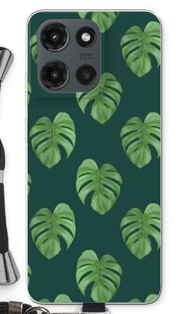 Monstera leaves