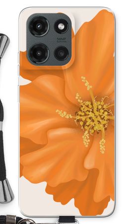 Orange Ellila flower