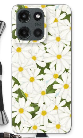 Summer Daisies