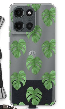 Monstera leaves