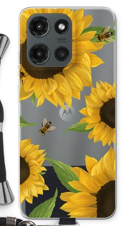 Sunflower and bees