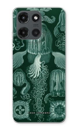 Haeckel Cubomedusae