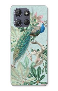 Paradise Garden Peacock