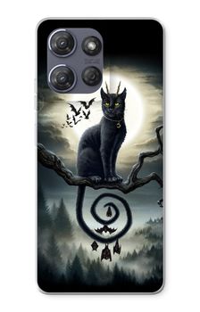 Moonlight Companions