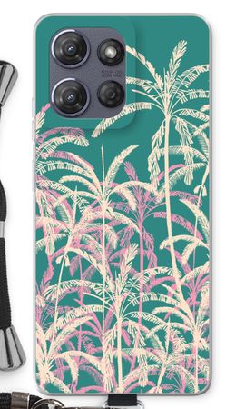 Tropical Palms
