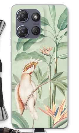 Tropical Parrot