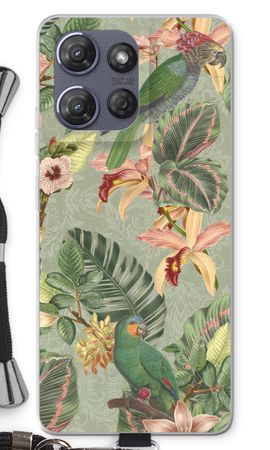 Tropical jungle parrot