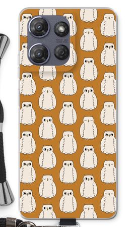 Owls