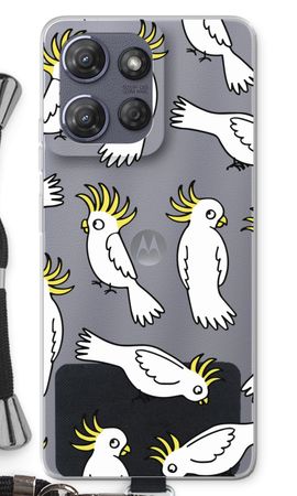 Parrot