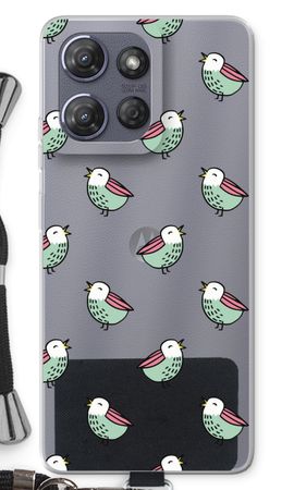 Little birds