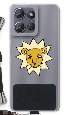 Little lion