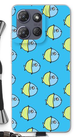 Little fish