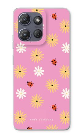 Petals And Ladybugs