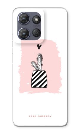 Black and white cactus