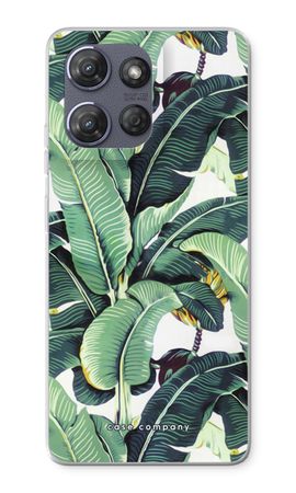 Banana leaves