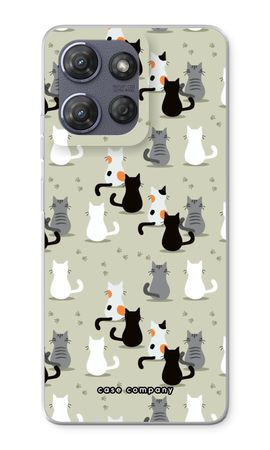 Katzen