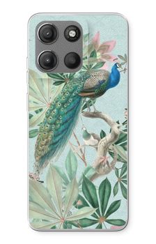 Paradise Garden Peacock