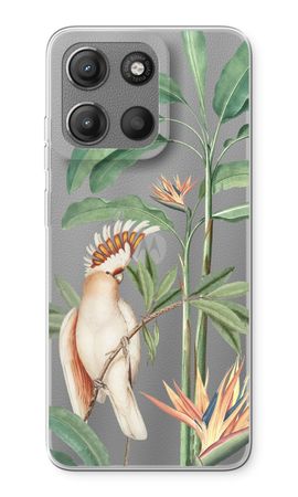 Tropical Parrot