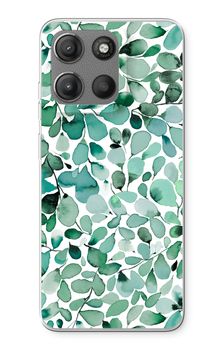 Eucalyptus à feuilles