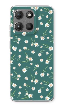 Small daisies