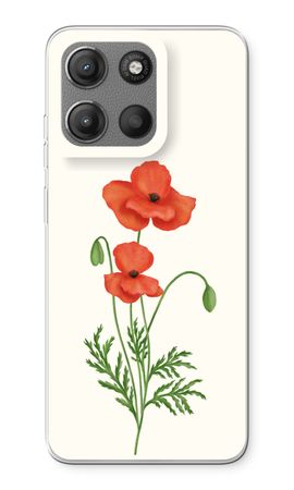 Red poppy
