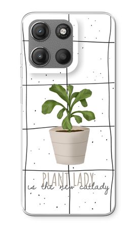 Houseplant on windowpane