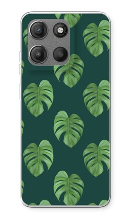Monstera leaves
