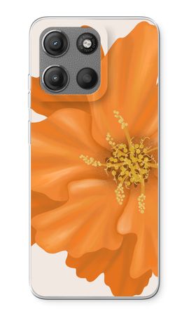 Orange Ellila flower