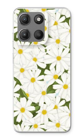 Summer Daisies