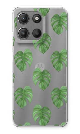 Monstera leaves