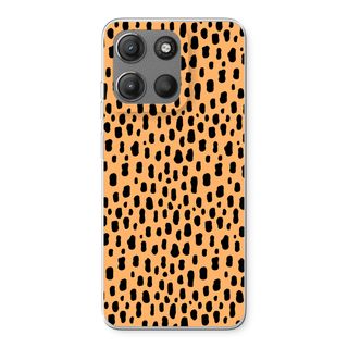 Panter
